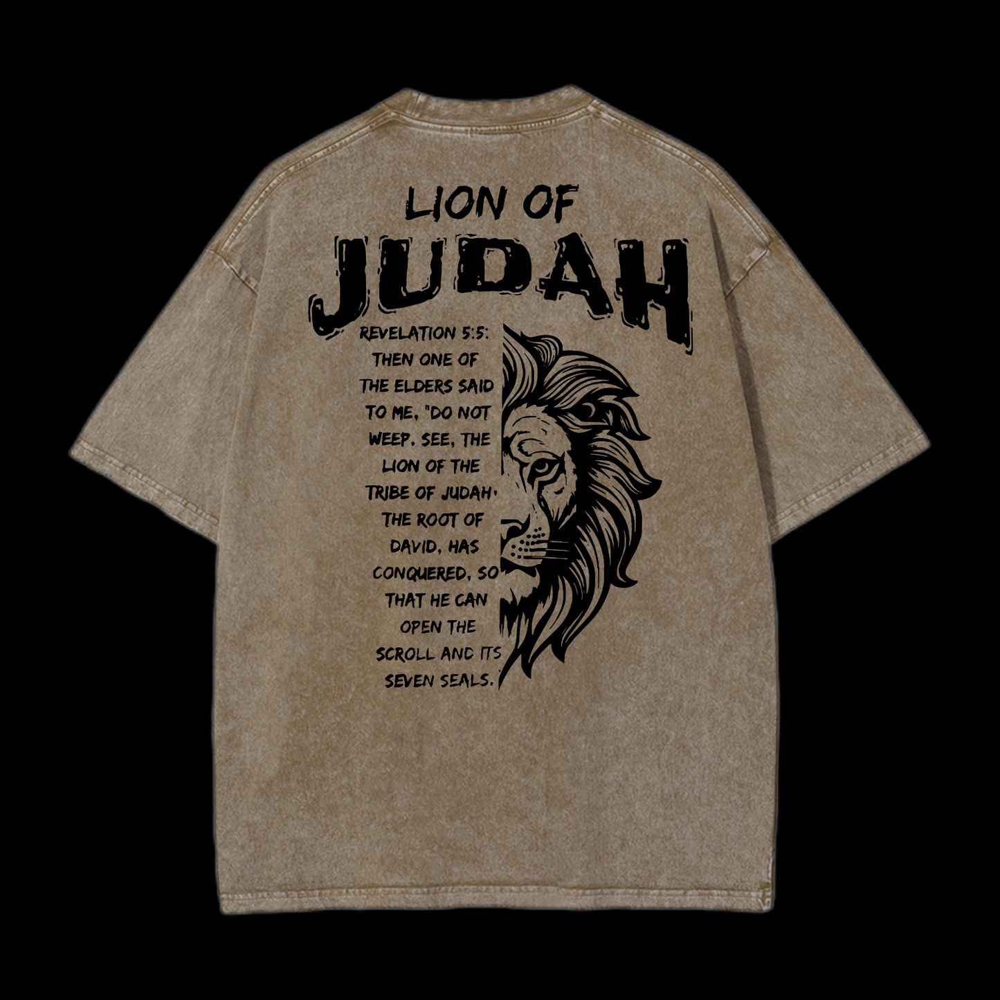 Lion Of Judan Washed T-Shirt