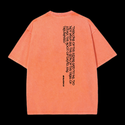 Lion Of Judan Washed T-Shirt