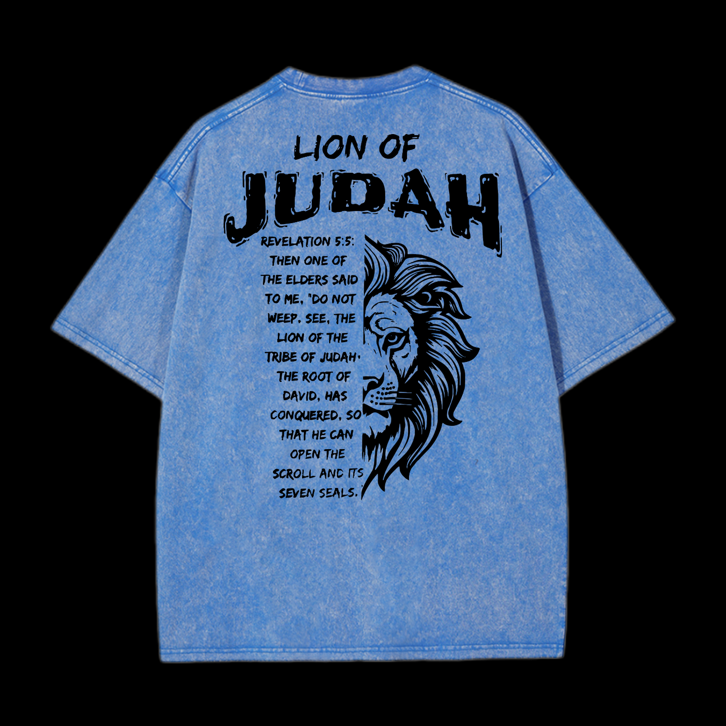 Lion Of Judan Washed T-Shirt