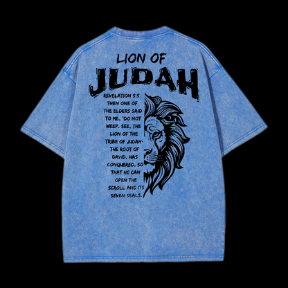 Lion Of Judan Washed T-Shirt