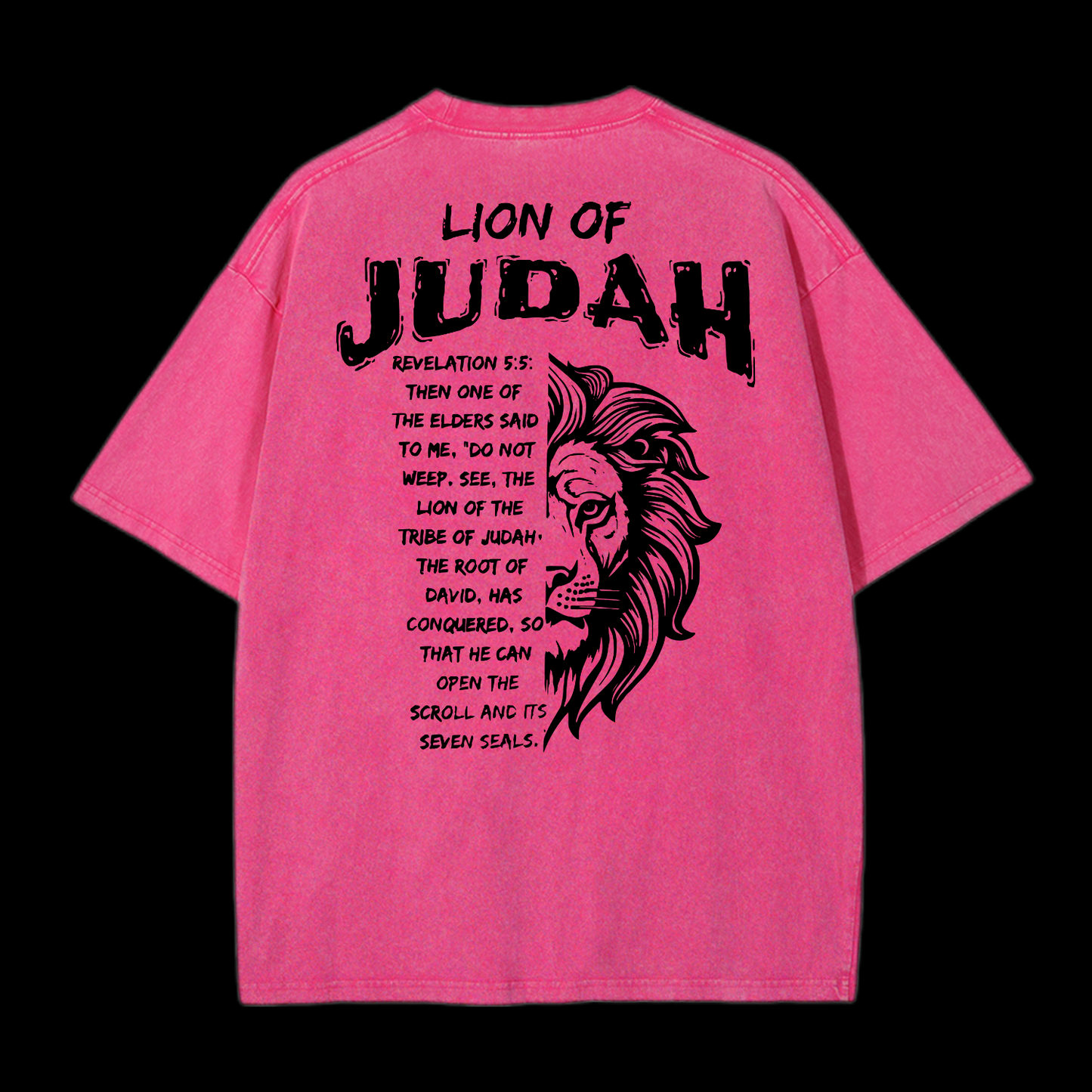 Lion Of Judan Washed T-Shirt