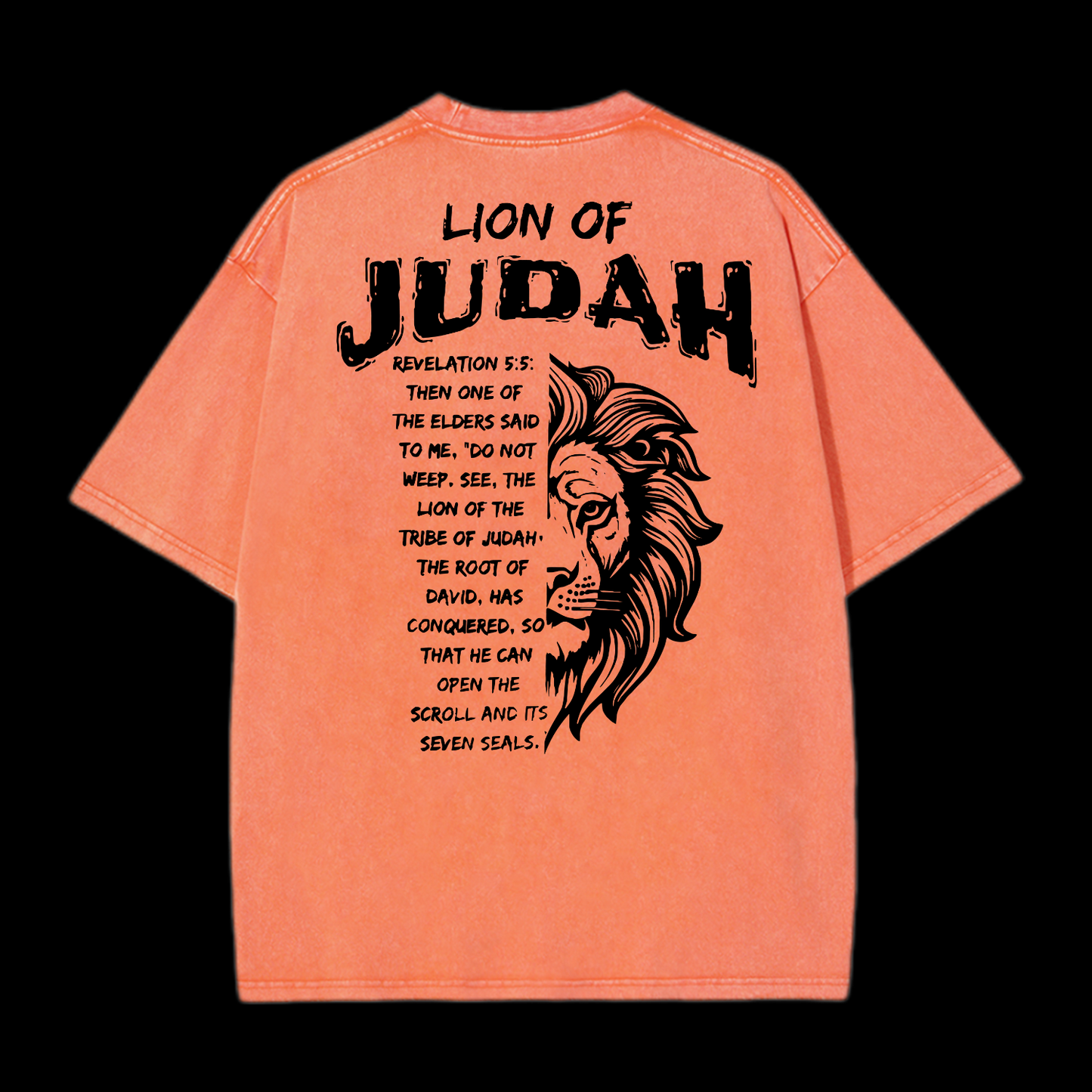 Lion Of Judan Washed T-Shirt