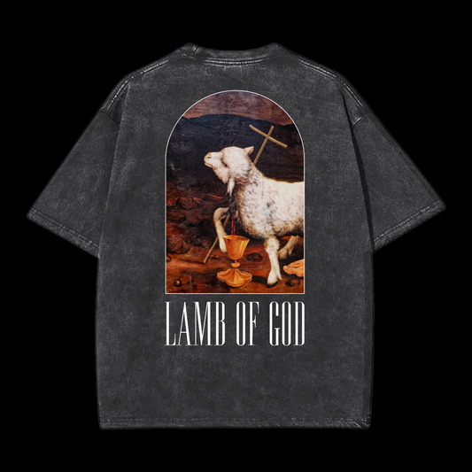 Lamb Of God Washed T-Shirt