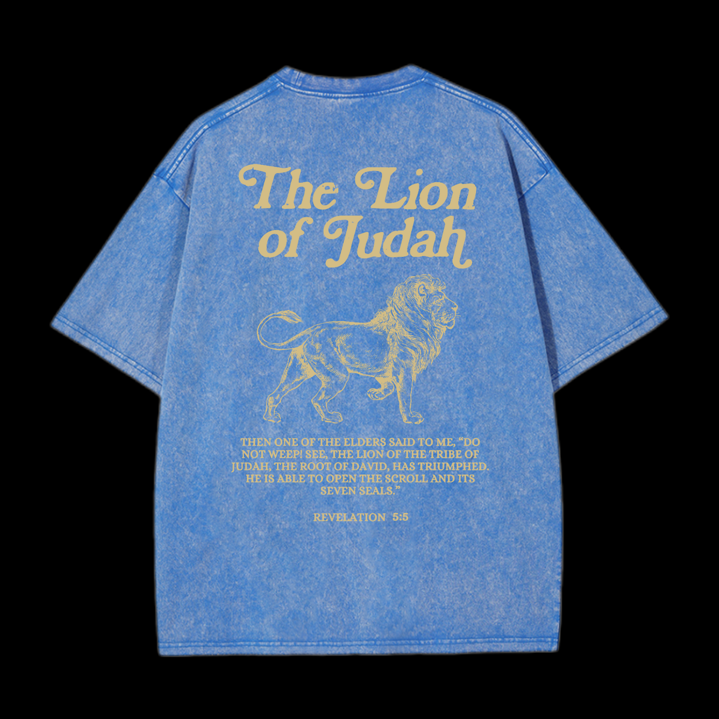 The Lion Of Judah Washed T-Shirt