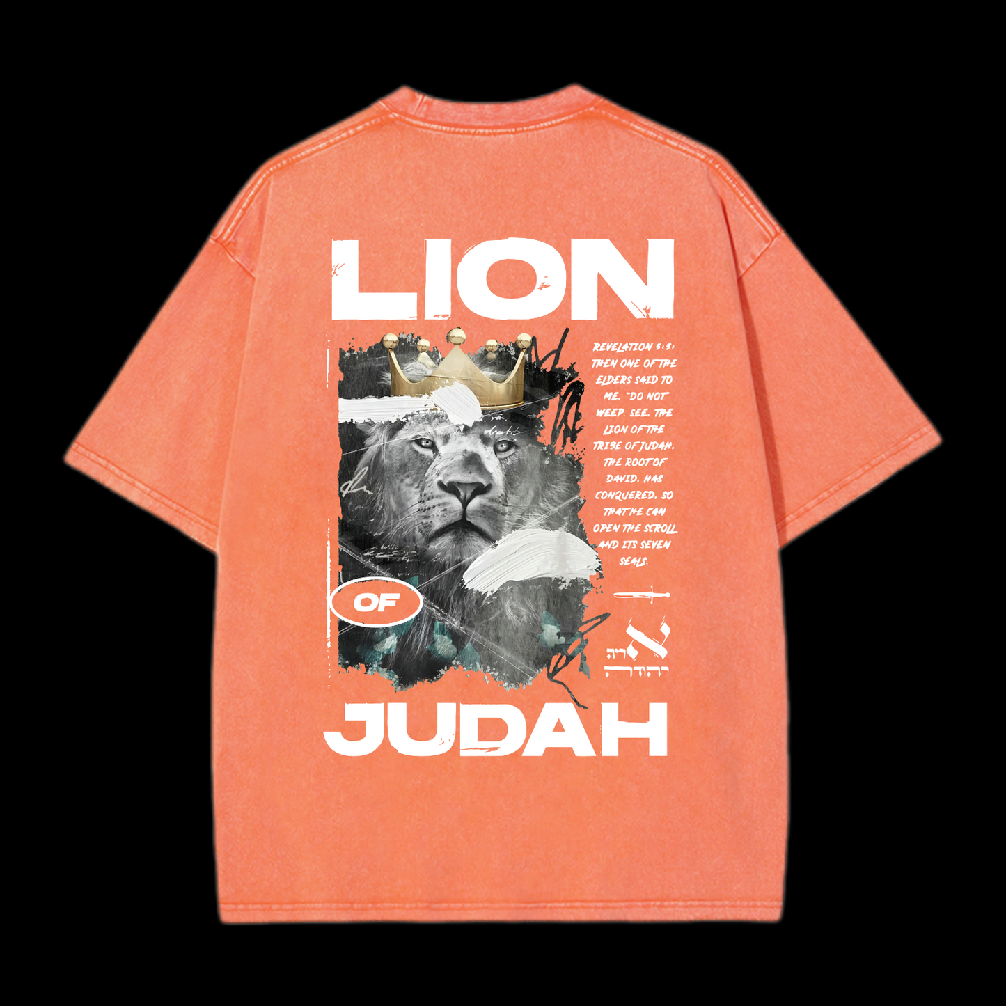 Lion Of Judan Washed T-Shirt