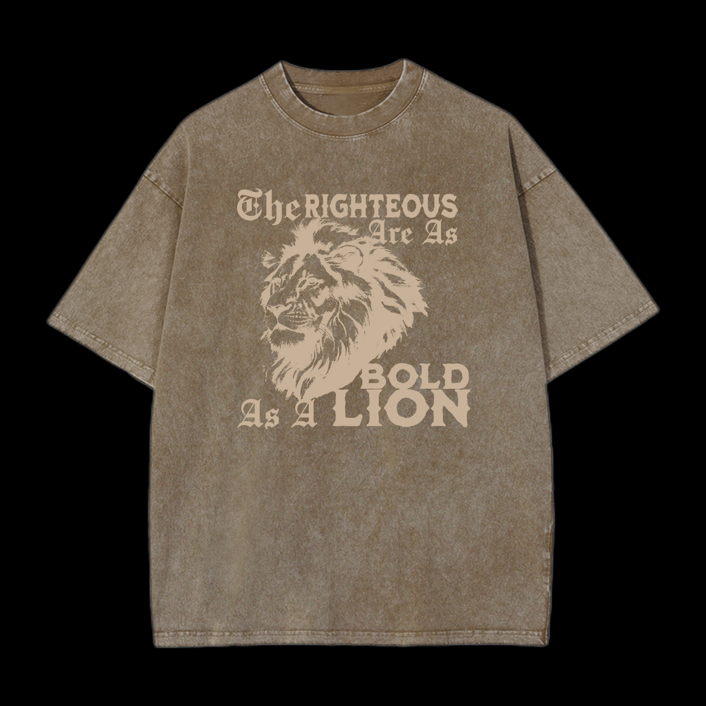 The Righteous Are As Bold As A Lion Washed T-Shirt