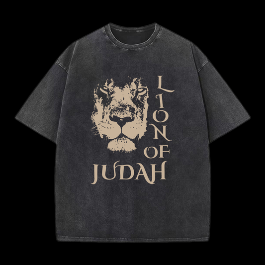 Lion Of Judan Washed T-Shirt