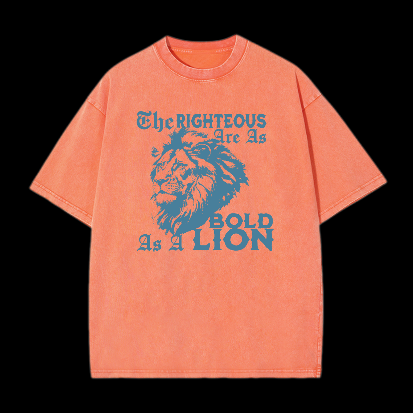 The Righteous Are As Bold As A Lion Washed T-Shirt