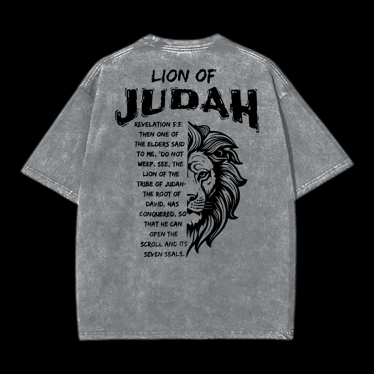 Lion Of Judan Washed T-Shirt