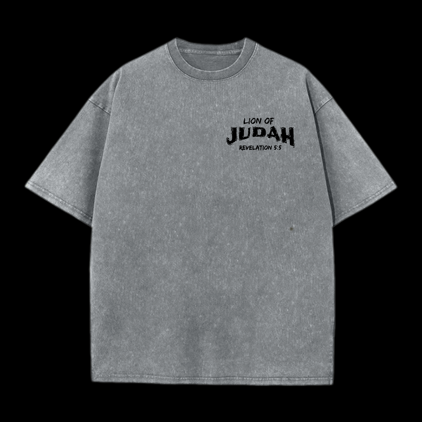 Lion Of Judan Washed T-Shirt