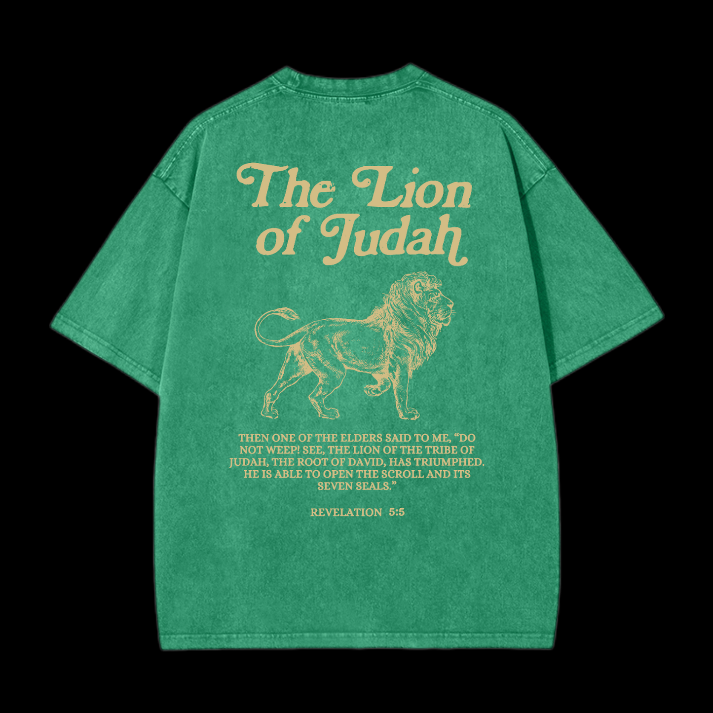 The Lion Of Judah Washed T-Shirt