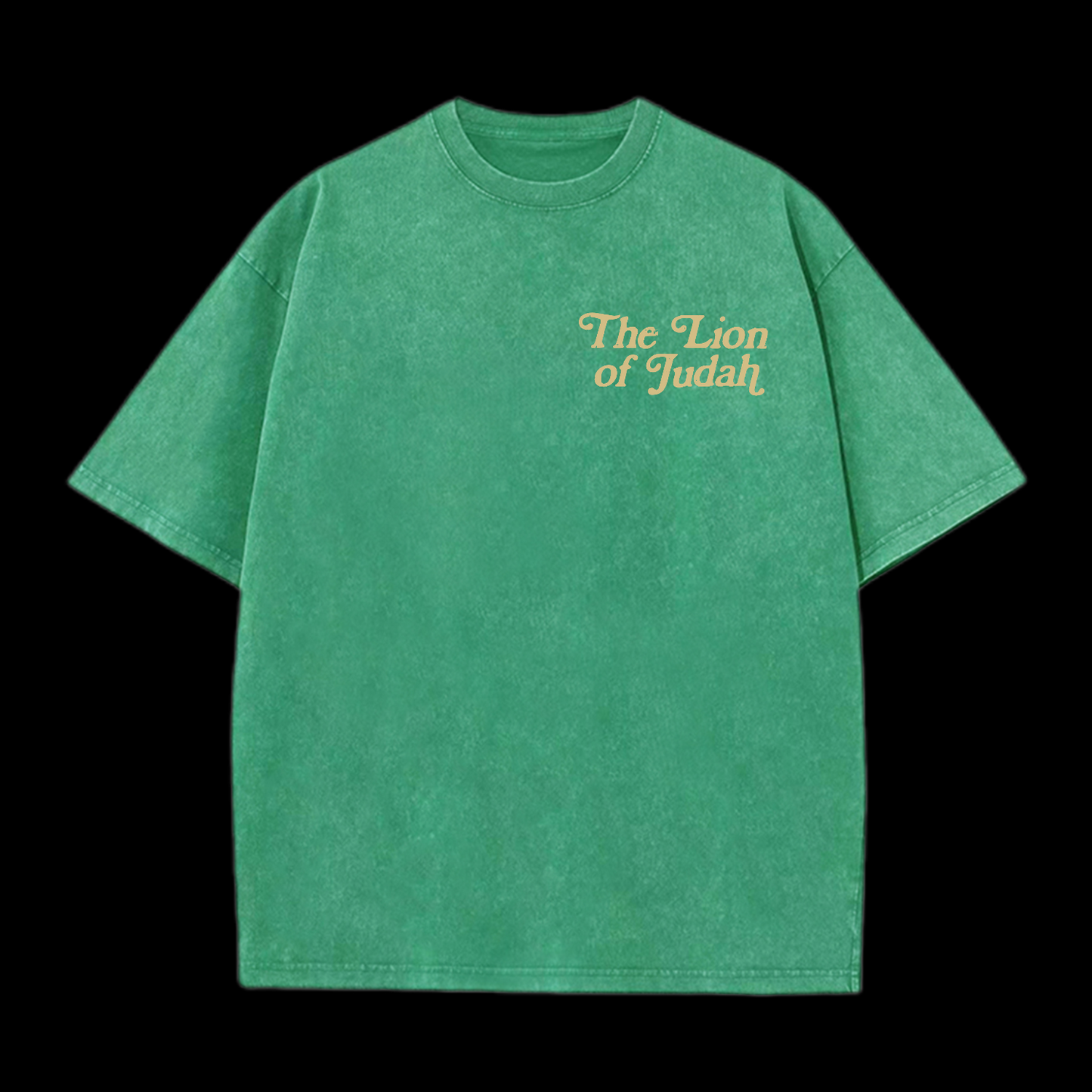 The Lion Of Judah Washed T-Shirt